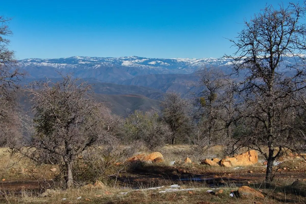 6894 State Highway 49 N, Mariposa, CA 95338 - #1