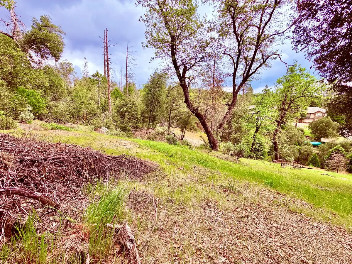 10 Granite Ridge Lane, Bass Lake, CA 93604 - #1