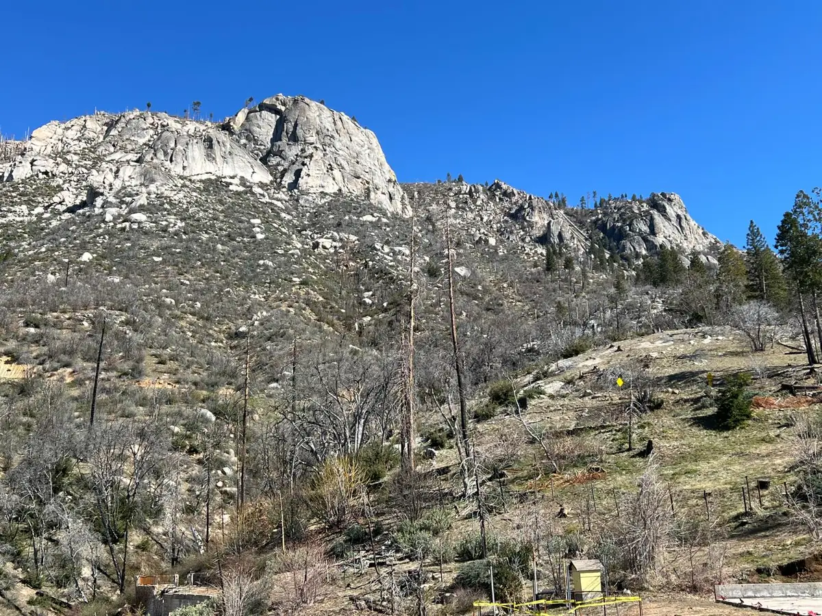 55161 Jungletown Lane, Big Creek, CA 93605 - #1