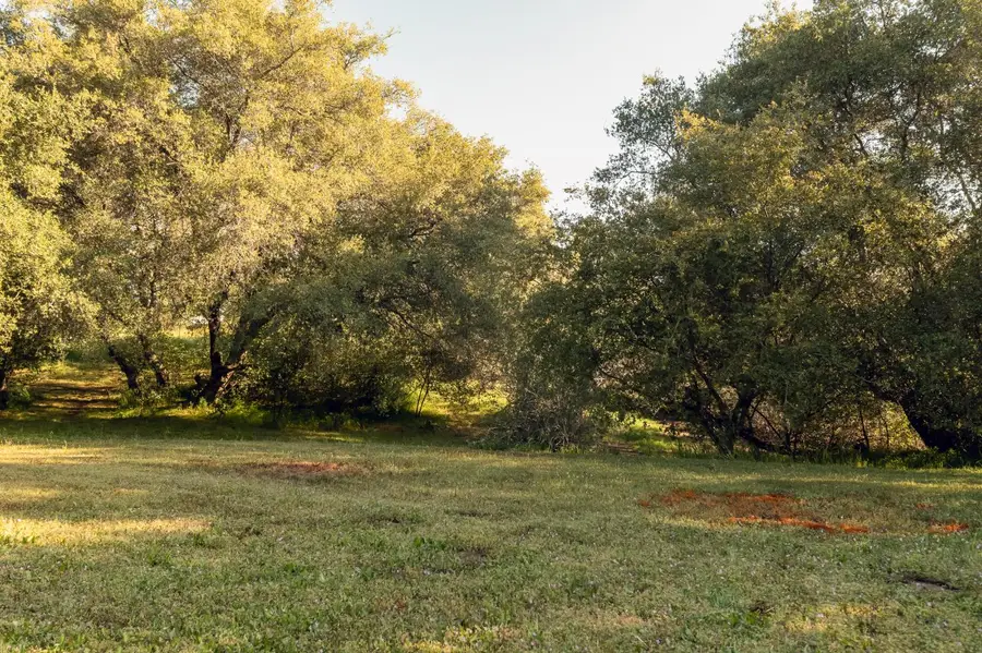 27719 Burrough Valley Road, Tollhouse, CA 93667 - #2