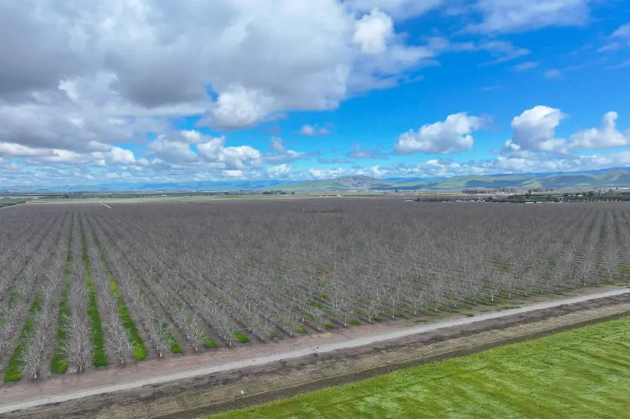 18995 Avenue 232, Lindsay, CA 93247 - #2