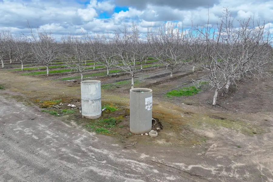 18995 Avenue 232, Lindsay, CA 93247 - #3