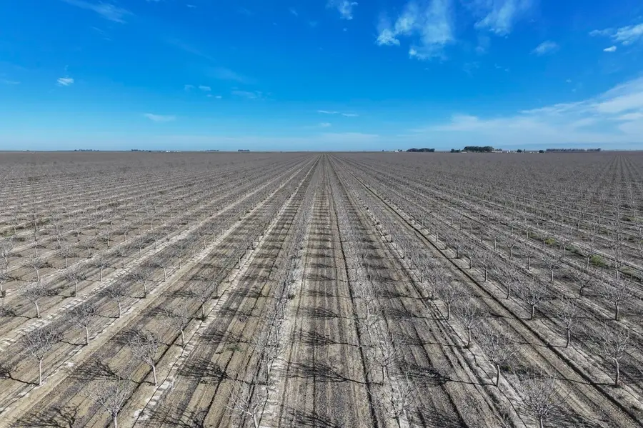 22889 S Colusa Avenue, Five Points, CA 93624 - #2