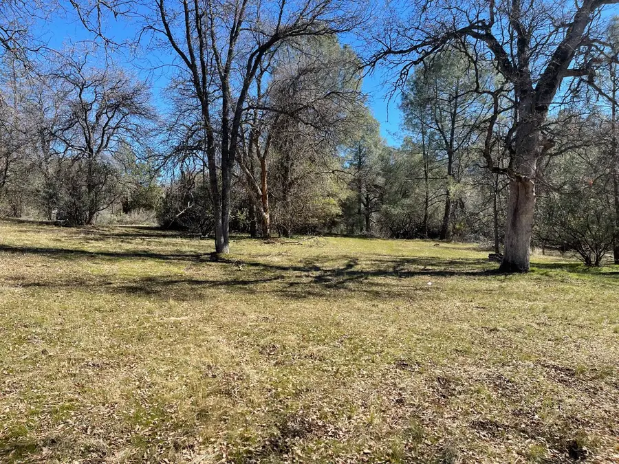 4 Fair Oaks Court, Oakhurst, CA 93644 - #2