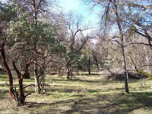 36 Jean Rd West, Oakhurst, CA 93644