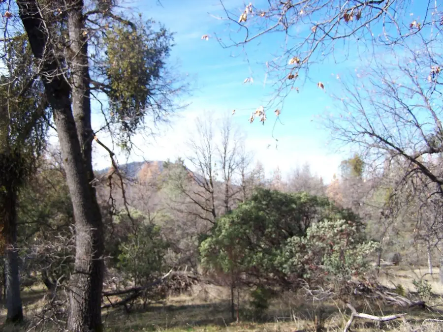 36 Jean Rd West, Oakhurst, CA 93644 - #3