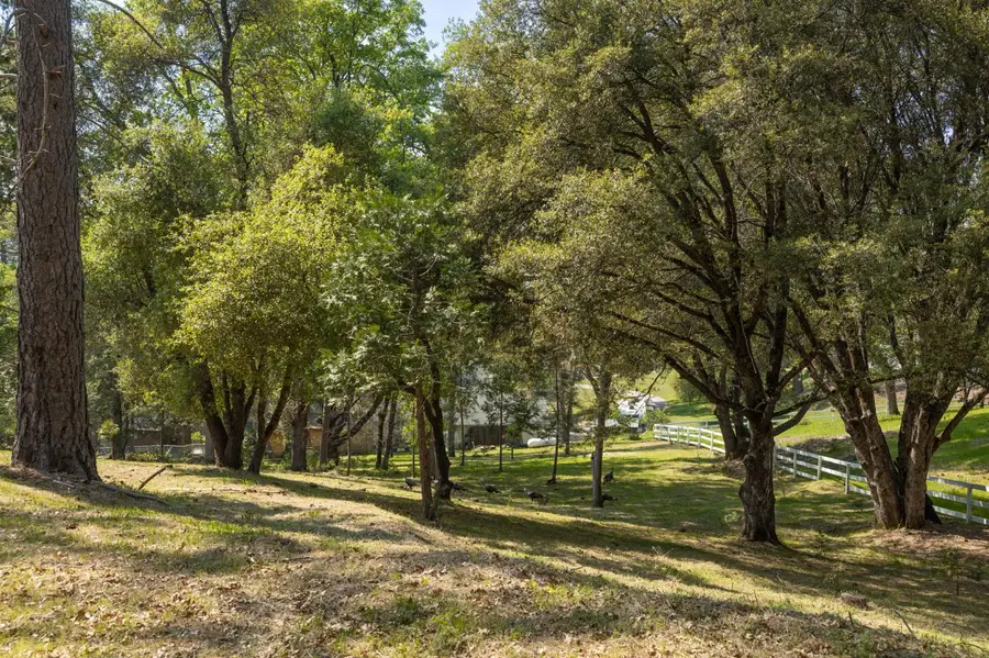 1 Oak Lane-apn 057-310-016 Lane, Oakhurst, CA 93644 - #3