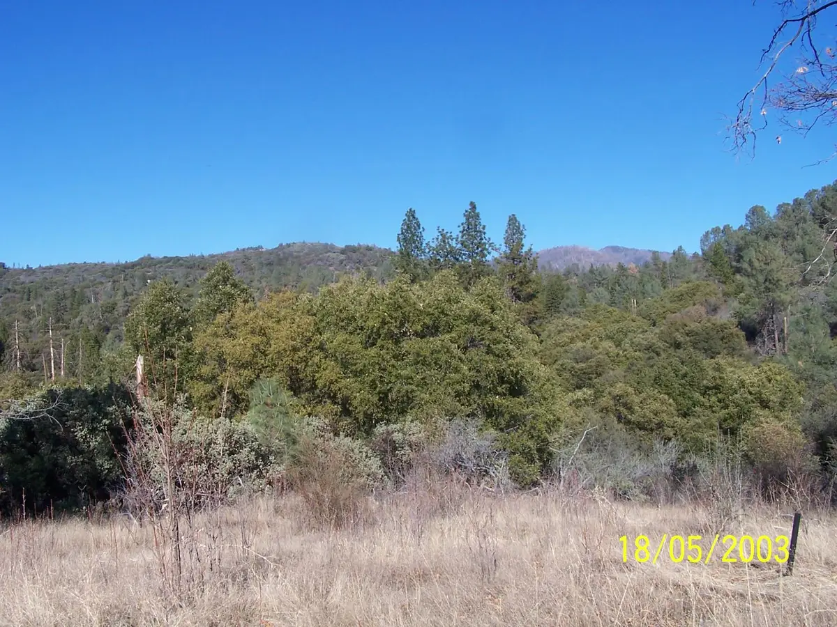 31 Hang Treen Ct, Oakhurst, CA 93644 - #1