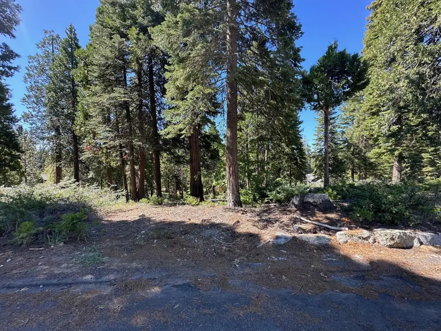 42142 Opal Lane, Shaver Lake, CA 93664 - #2