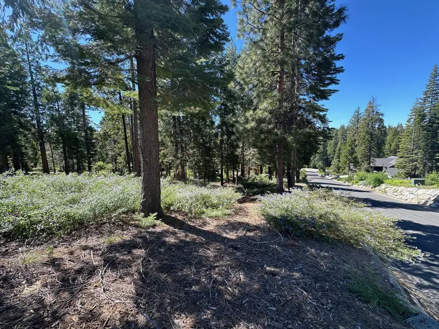 42142 Opal Lane, Shaver Lake, CA 93664 - #3