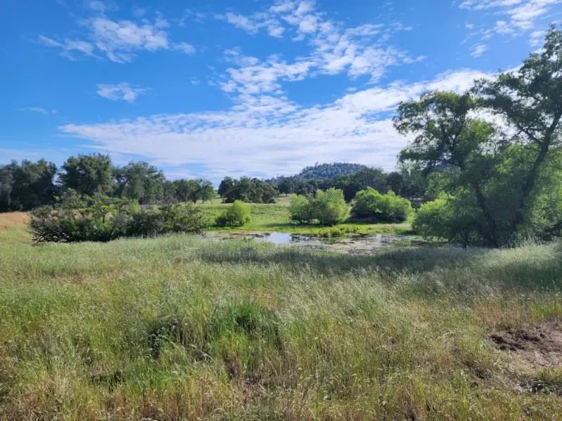 32951 Frazier Road #2, Auberry, CA 93602 - #2