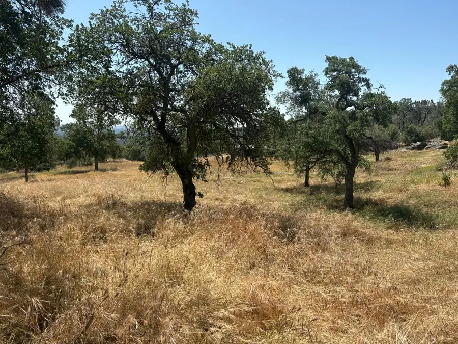 1379 Lilley Mountain Dr #1379, Coarsegold, CA 93614 - #3