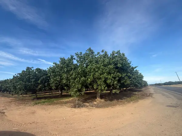 20349 Brightwood Road, Madera, CA 93638