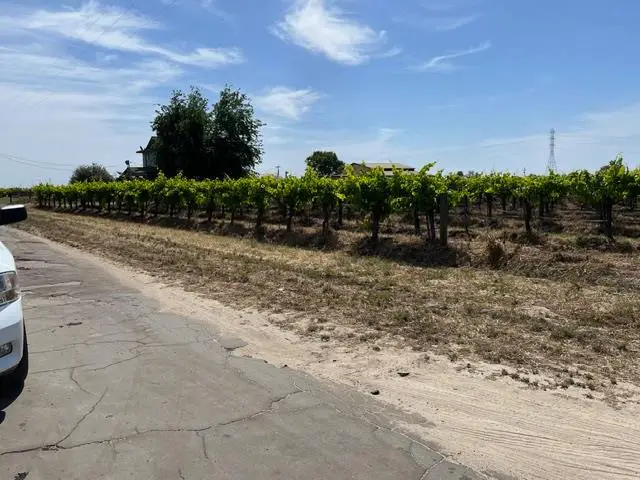 6195 W Springfield N, Caruthers Raisin City, CA 93706 - #3