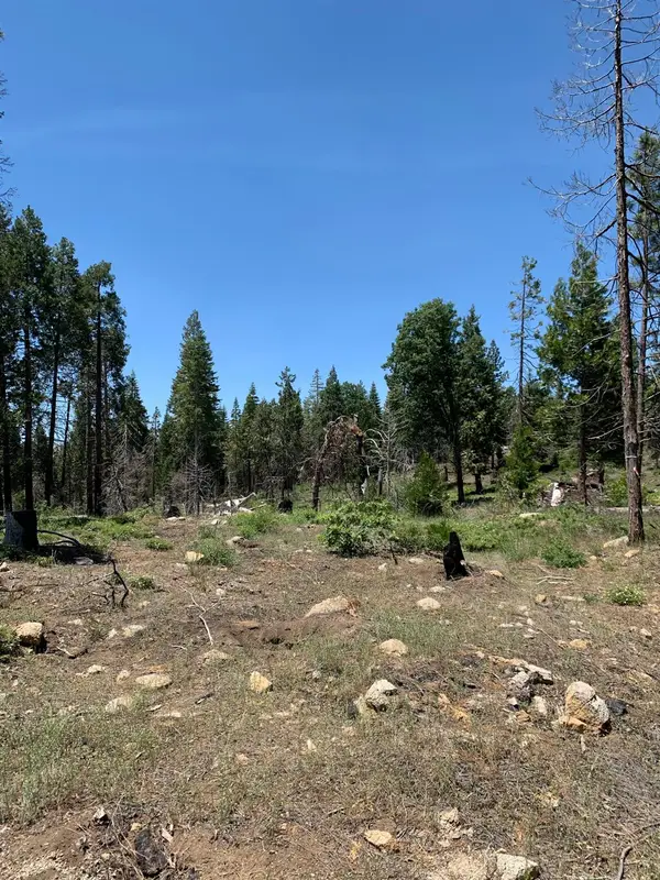1 Shaver Lake, Shaver Lake, CA 93602