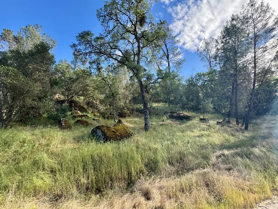1 Road 400, Coarsegold, CA 93614 - #2