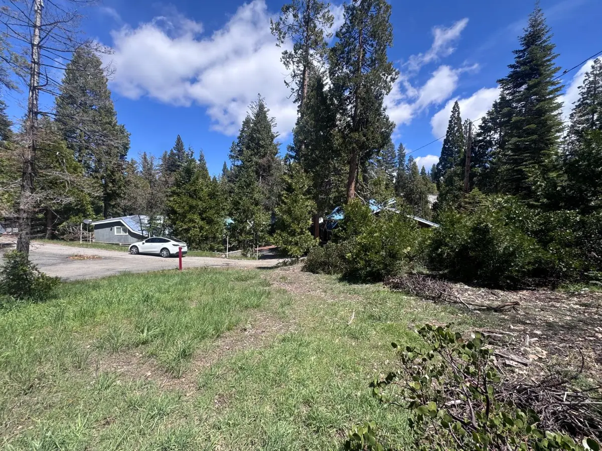 42156 Digger Avenue, Shaver Lake, CA 93664 - #1