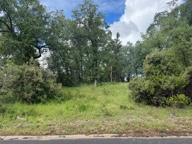 0 Wintergreen, North Fork, CA 93643 - #1