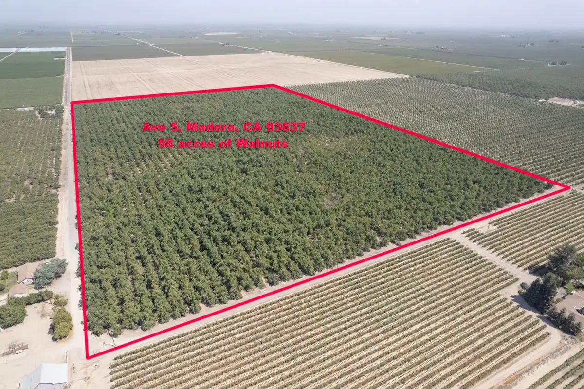 24290 Avenue 5, Madera, CA 93637 - #1