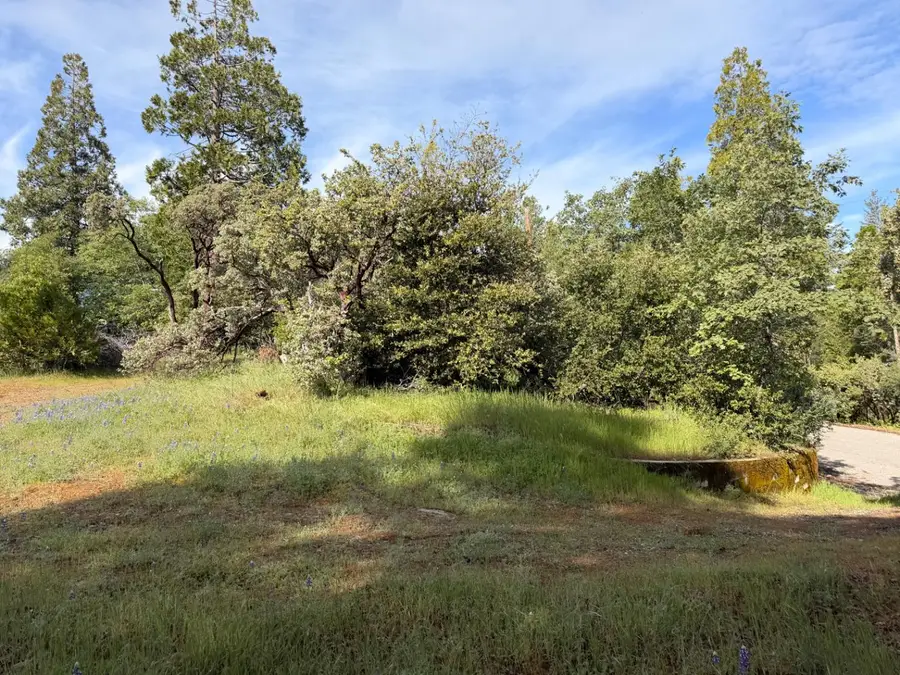 39333 Manzanita Drive, Oakhurst, CA 93644 - #3