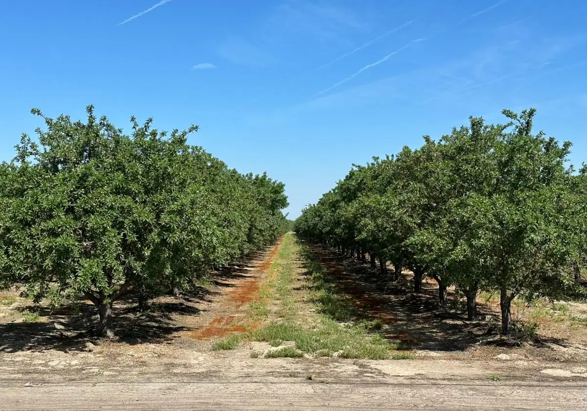 11841 S Hughes Avenue, Caruthers, CA 93609 - #1