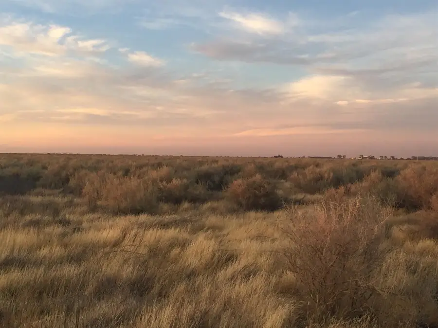 123 Poso Canal, Corcoran, CA 93212 - #2