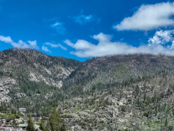 55362 Point Road, Big Creek, CA 93605