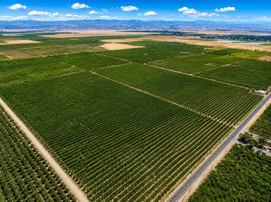 32487 Avenue 12, Madera, CA 93636 - #2