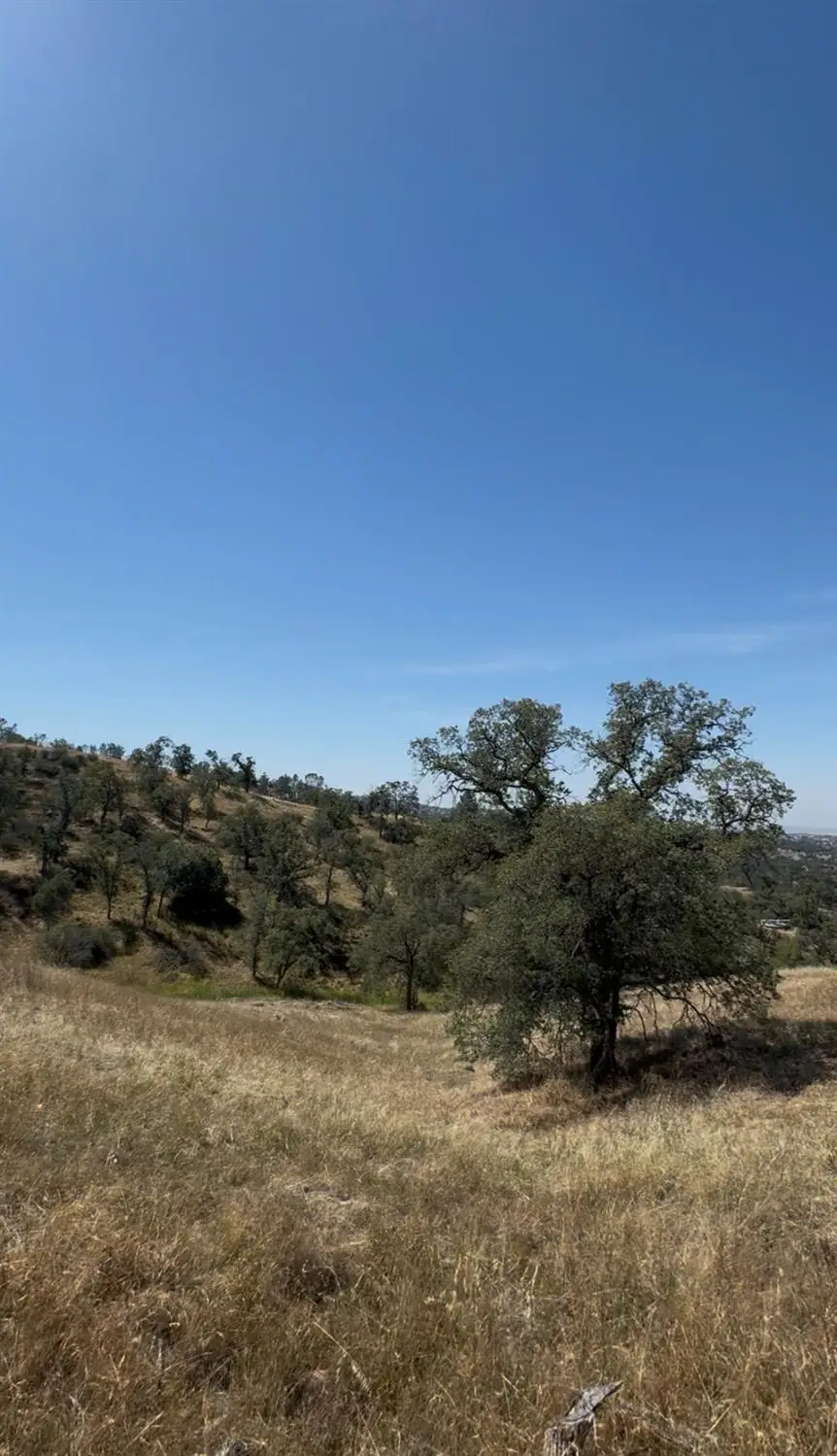 1578 Lilley Mountain, Coarsegold, CA 93614 - #1