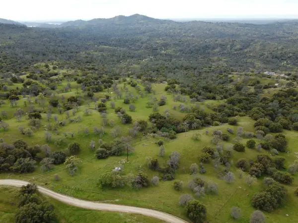 50994 Road 210, Friant, CA 93626