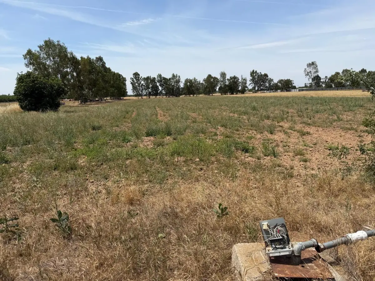 0 Road 20, Chowchilla, CA 93610 - #1