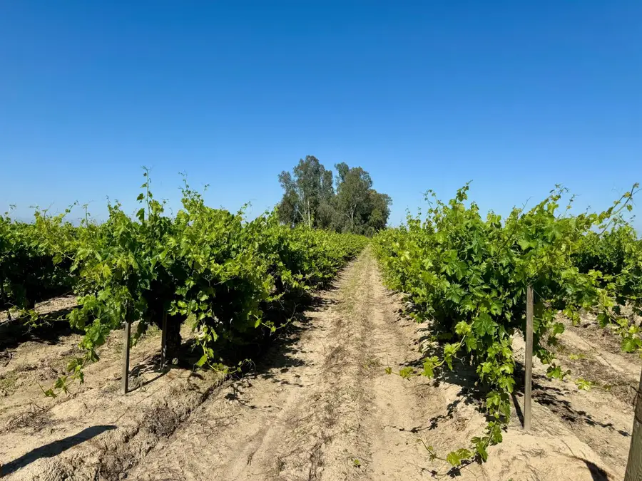 1 W Belmont Avenue, Kerman, CA 93630 - #2