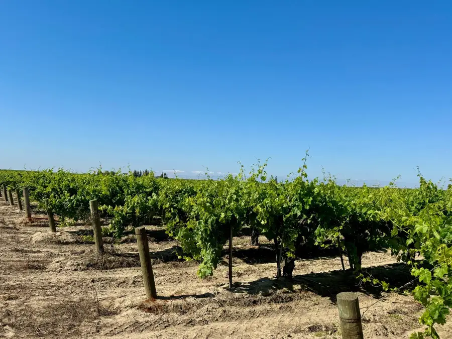 1 W Belmont Avenue, Kerman, CA 93630 - #3
