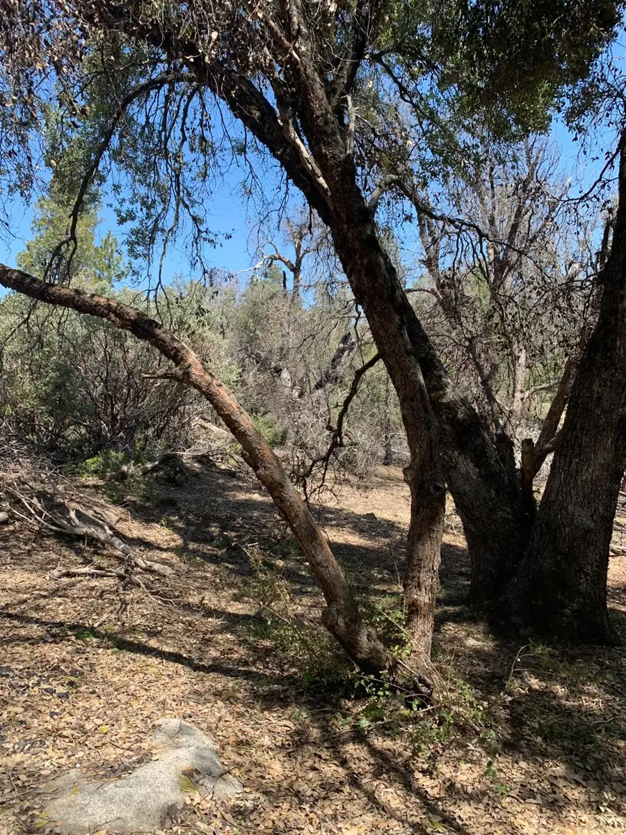 0 Auberry Road, Auberry, CA 93602 - #2