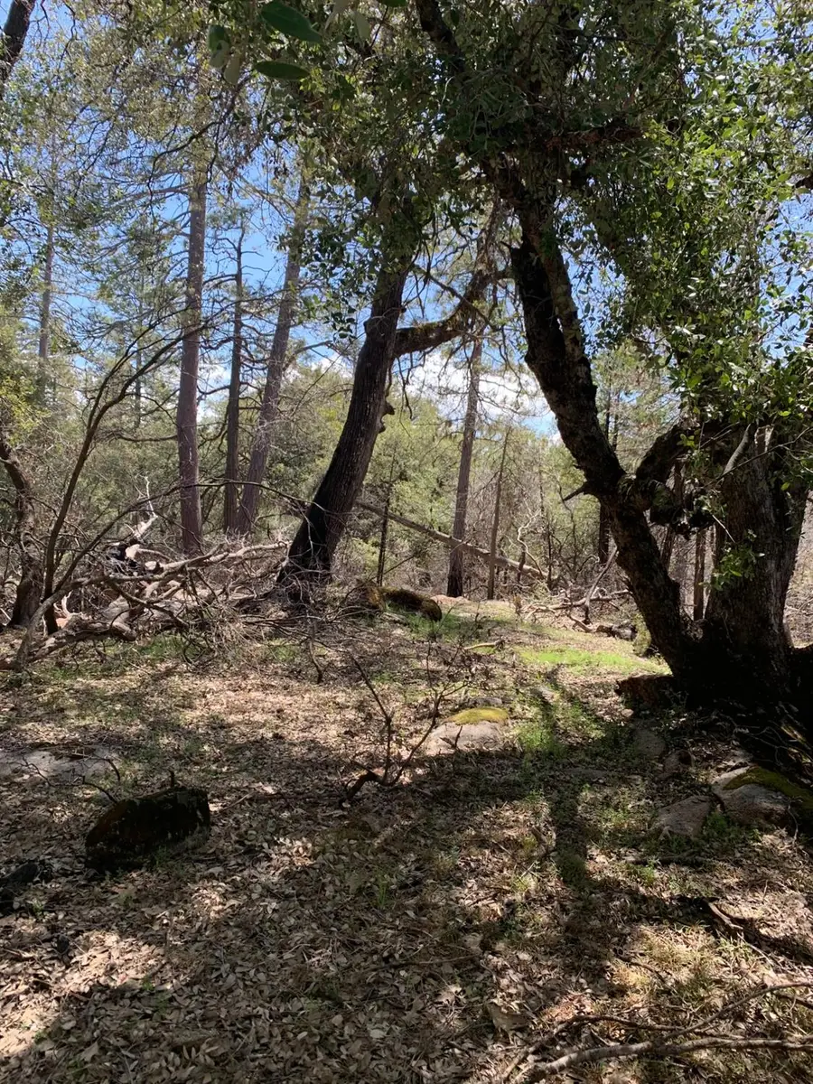0 Auberry Road, Auberry, CA 93602 - #3