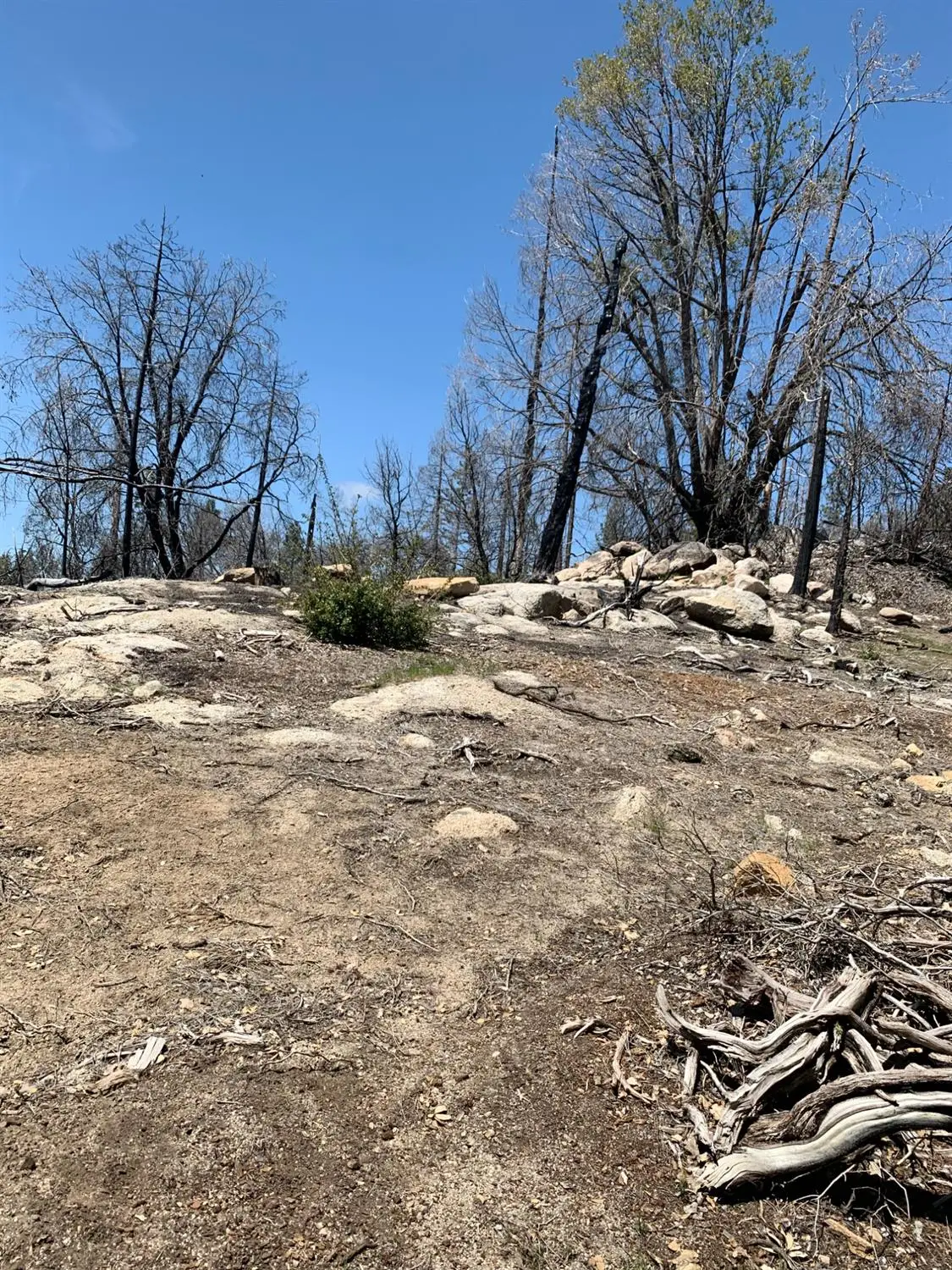0 Auberry Road, Auberry, CA 93602 - #1