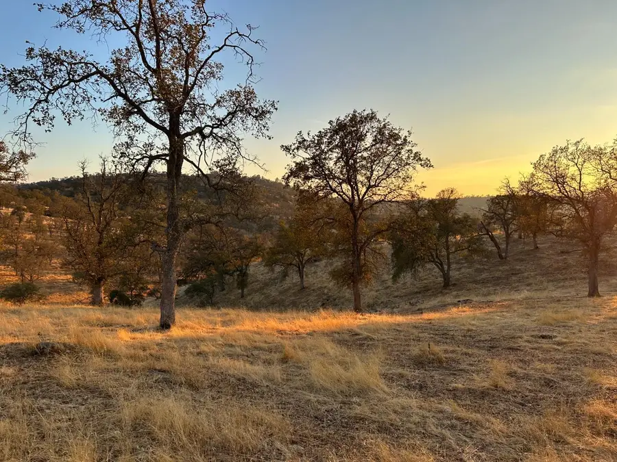 0 207 Road, Coarsegold, CA 93614 - #2