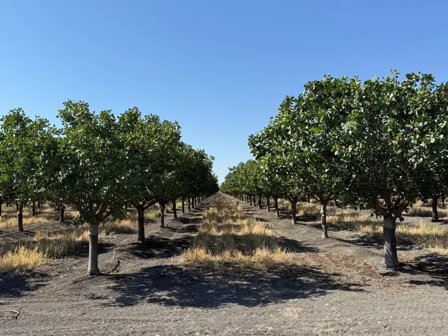 7000 W South Ave, Tranquillity, CA 93668 - #2