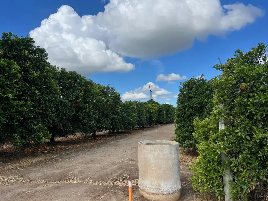 36442 Road 172, Visalia, CA 93292 - #2