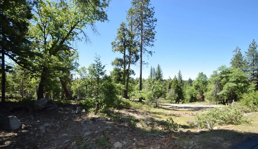 42352 Opal Lane #lot71, Shaver Lake, CA 93664 - #2