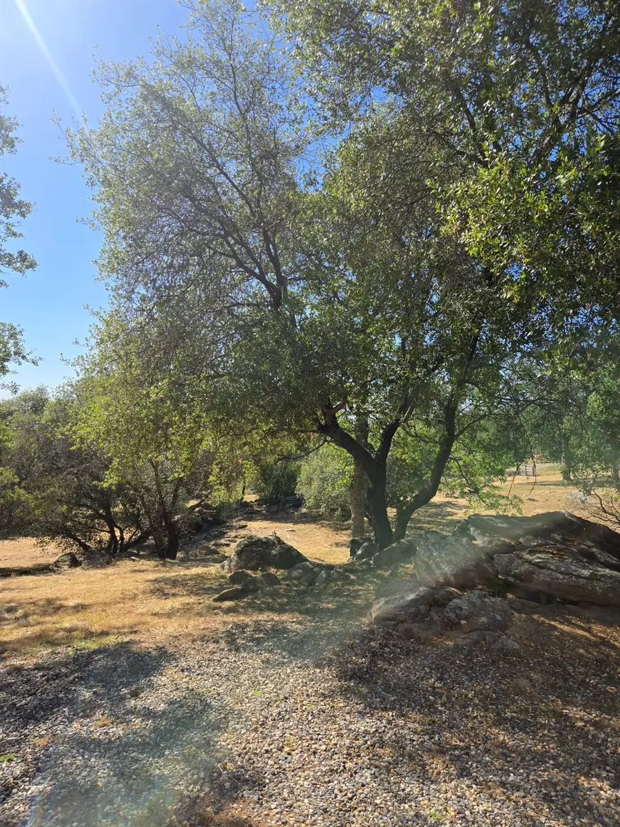 36846 Batti Road, Coarsegold, CA 93614 - #3