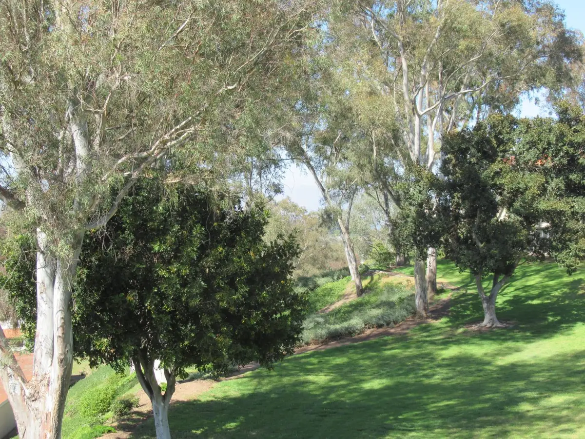 5370 5370 Punta Alta #2A, Laguna Woods, CA 92637 - #1