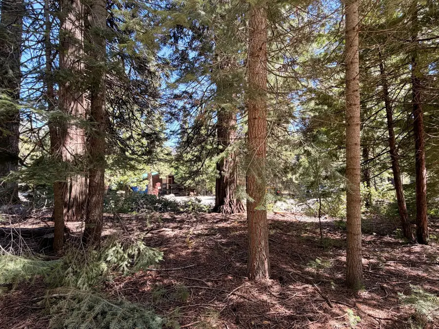7631 Forest Drive, Fish Camp, CA 93623 - #2