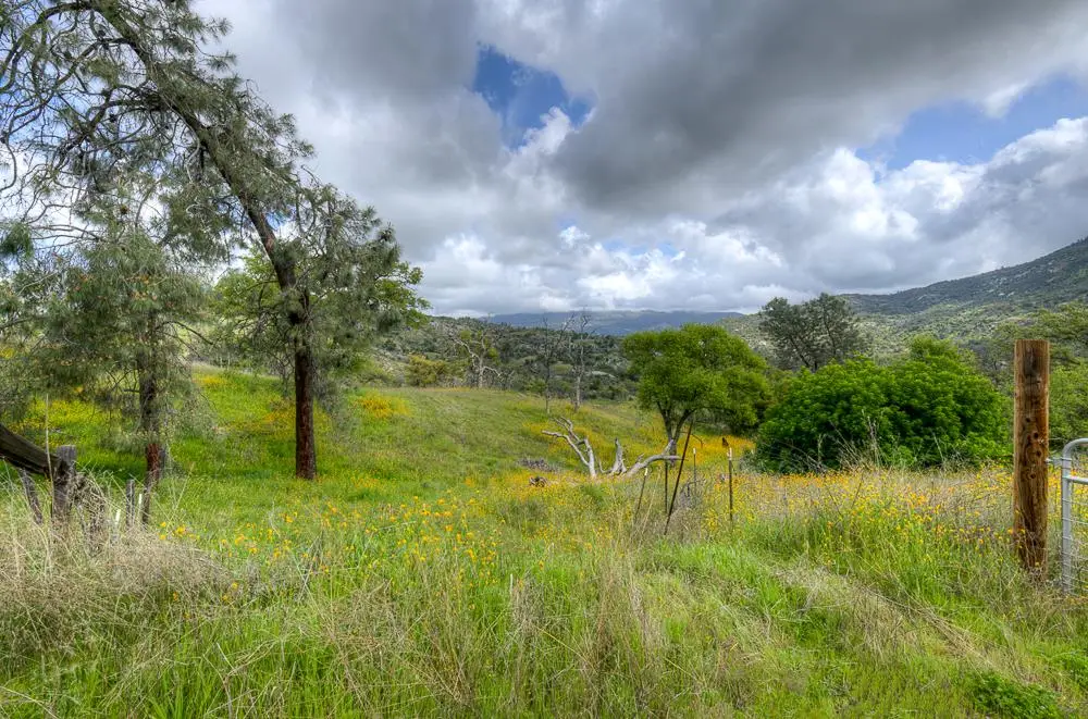 9 Pennyroyal, Prather, CA 93651 - #1