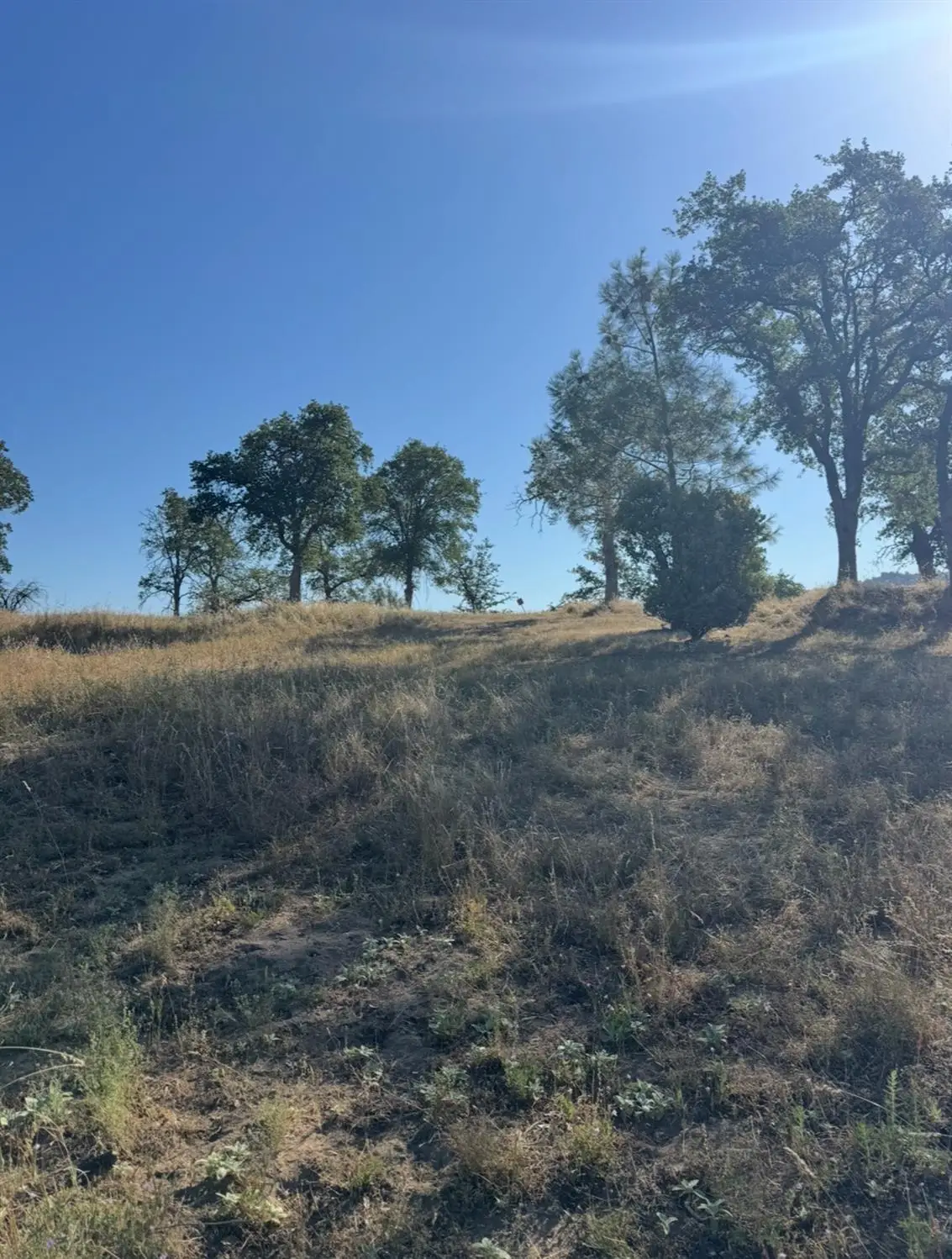 0 Titan Drive, Coarsegold, CA 93614 - #1