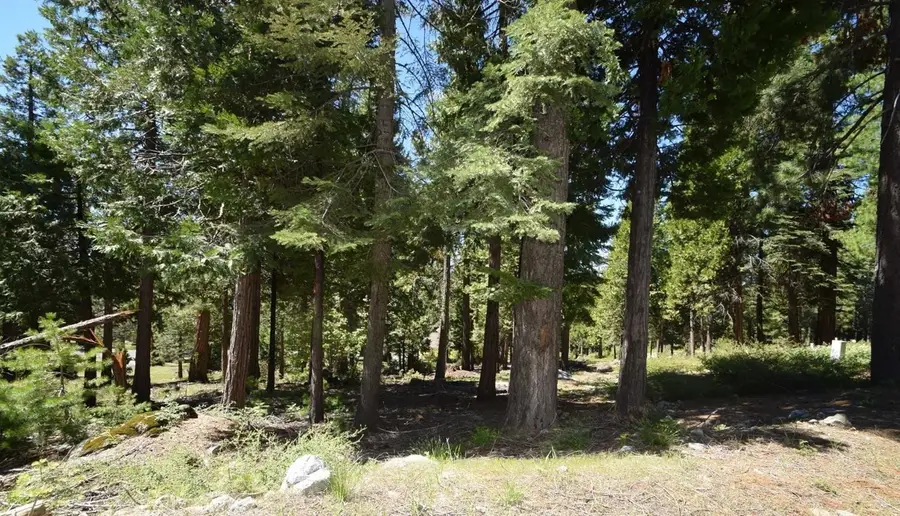 42036 Tourmaline Lane #103, Shaver Lake, CA 93664 - #2