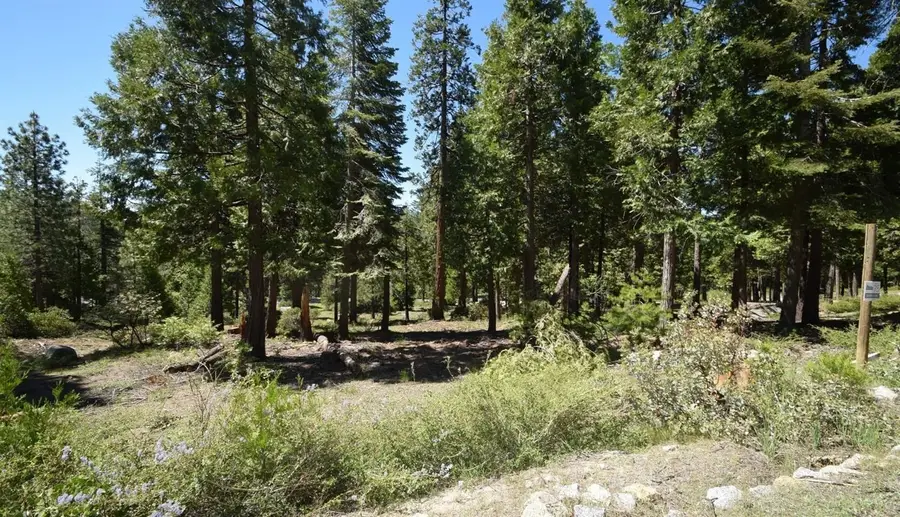 42036 Tourmaline Lane #103, Shaver Lake, CA 93664 - #3
