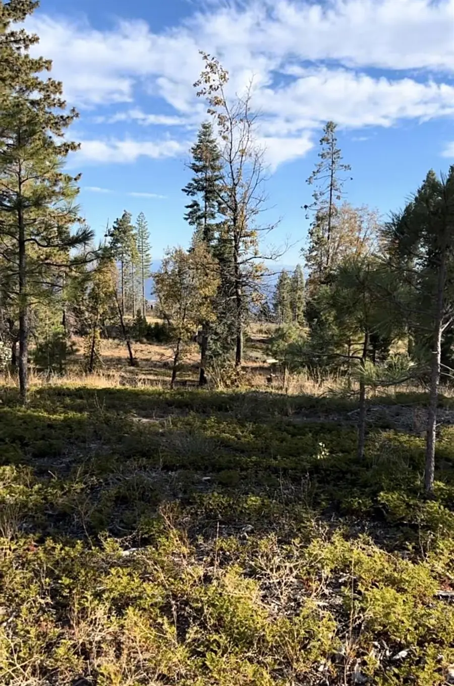0 Shaver Lake, Auberry, CA 93602 - #2