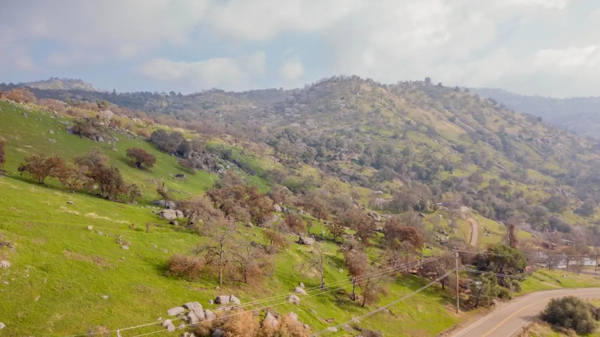 38938 Pepperweed Road, Yokuts Valley, CA 93675 - #1