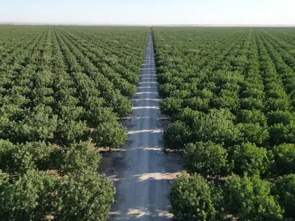 0 Avenue 16, Delano, CA 93215